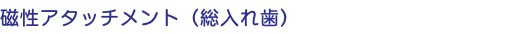 磁性アタッチメント（総入れ歯）